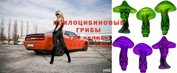 кокс Вяземский