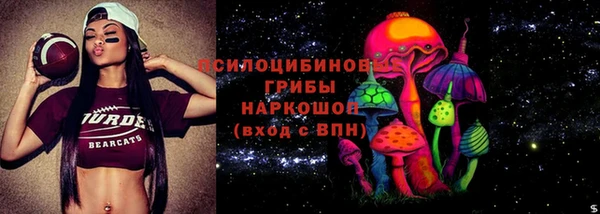 кокс Вяземский