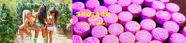 spice Вязники